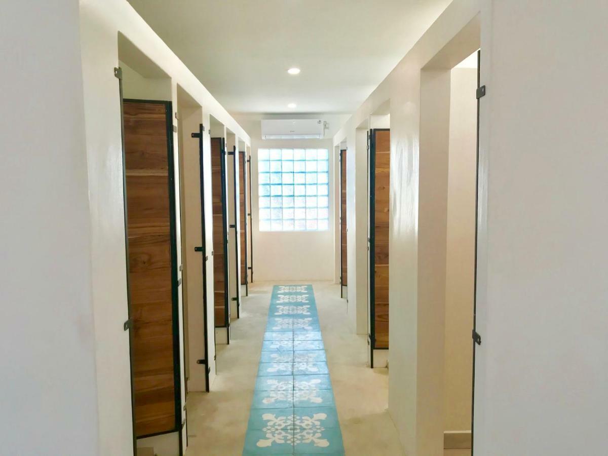 Seaesta Komodo Hostel & Hotel Labuan Bajo Ngoại thất bức ảnh